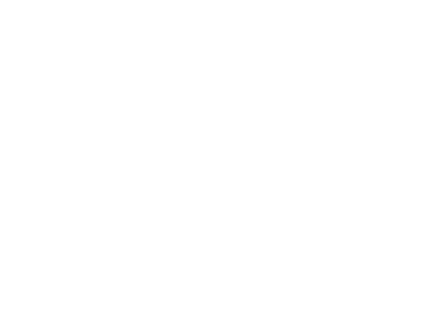 Pewterland